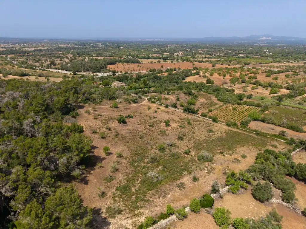 Rural land for sale in Felanitx Poble, imagen 8