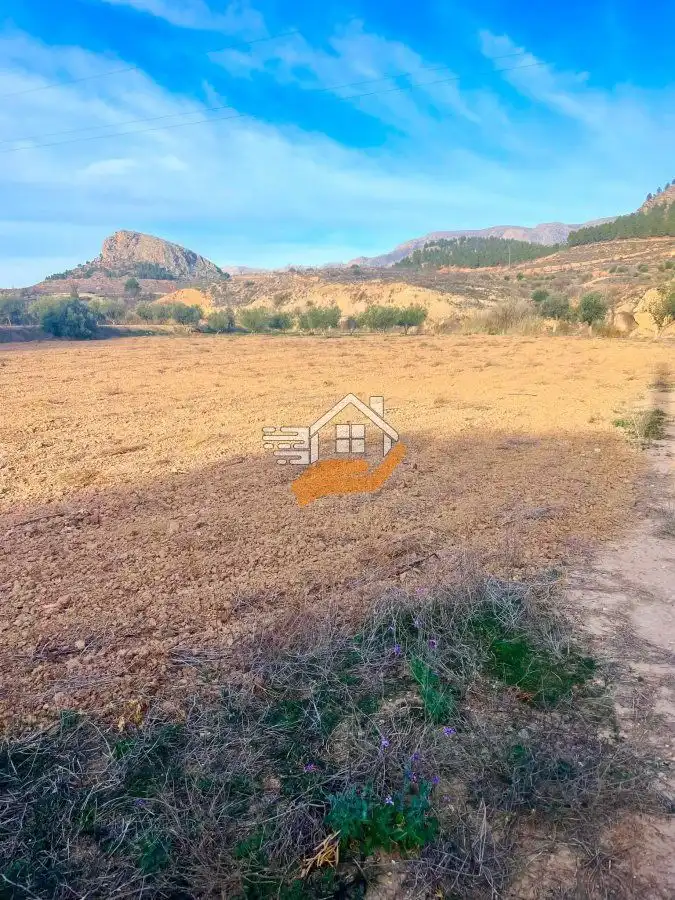Terrenos y solares en venta en Vélez-Rubio, imagen 12
