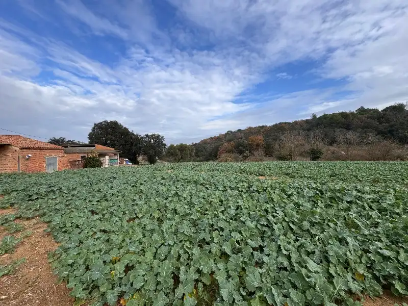 Haus mit Terrasse zum Verkauf in Vial Camino