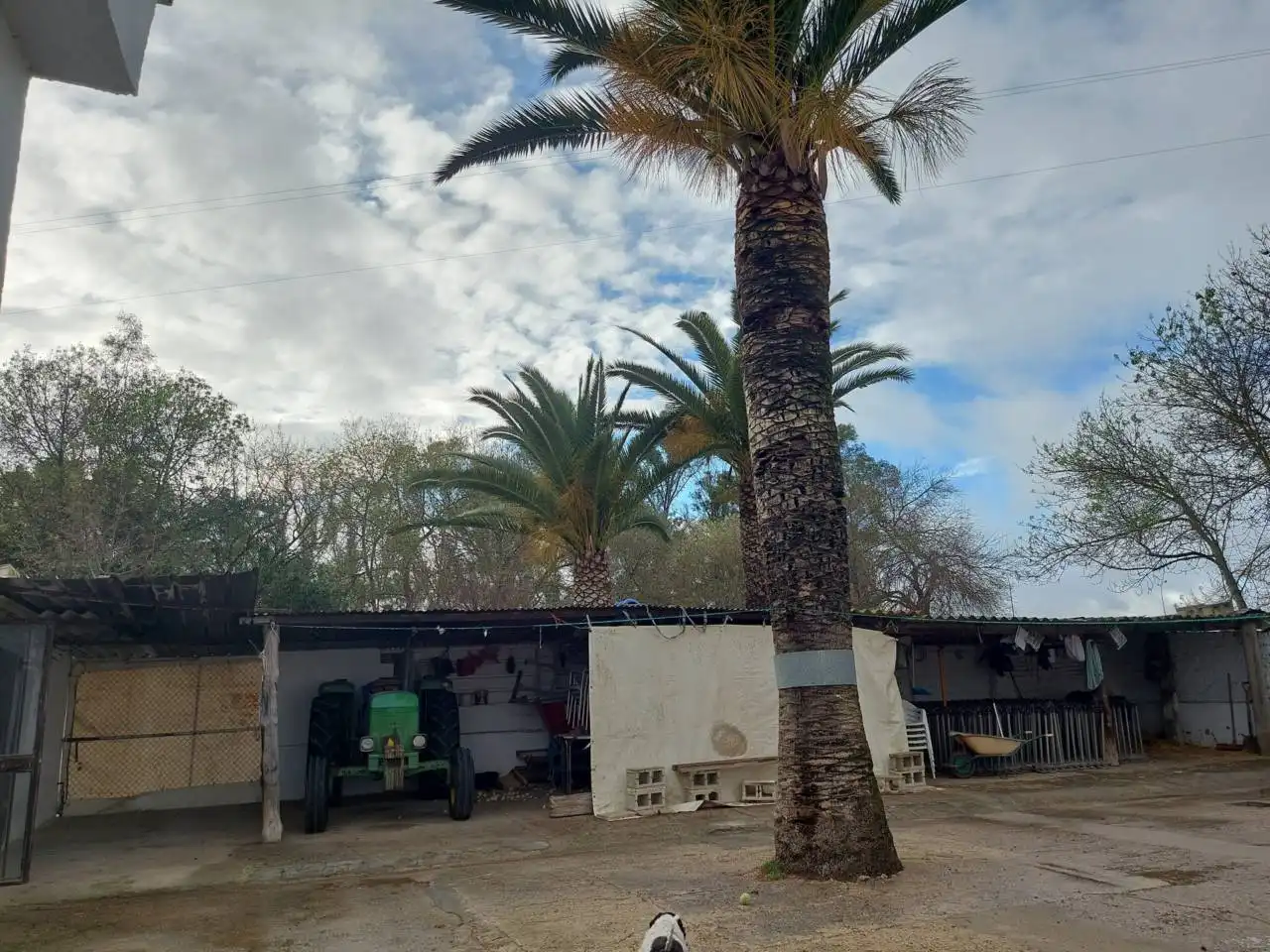 Terreno rústico en venta en Jerez norte - Montealto - Pozoalbero, imagen 8