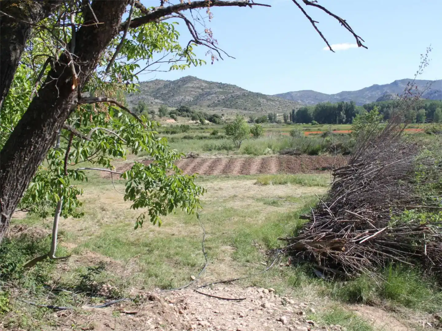 Terreno en venta en Castellote