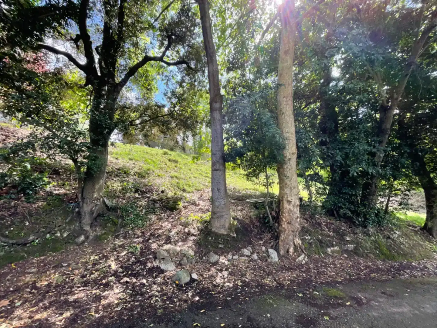 Residencial en venta en Medio Cudeyo
