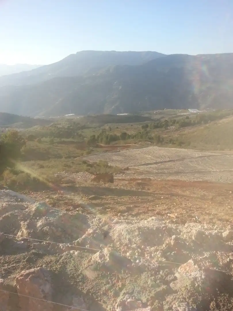 Rustikales Grundstück zum Verkauf in Motril  ciudad, imagen 13