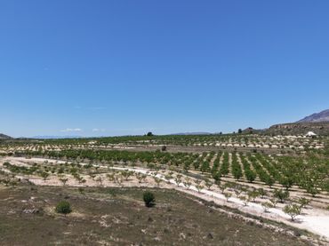 Terreno residencial en venta en El Pinós / Pinoso