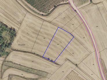 Terreno rustico in vendita a Badarán