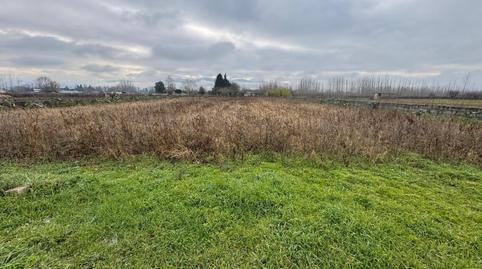 Foto 4 de Finca rústica en venda a Camponaraya, León