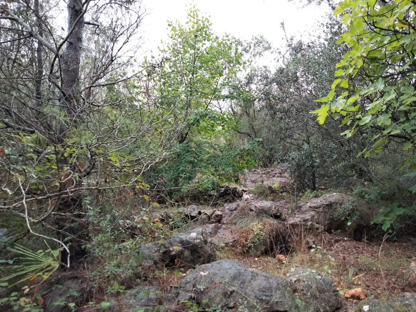 Rural land for sale in Vilallonga / Villalonga, imagen 4