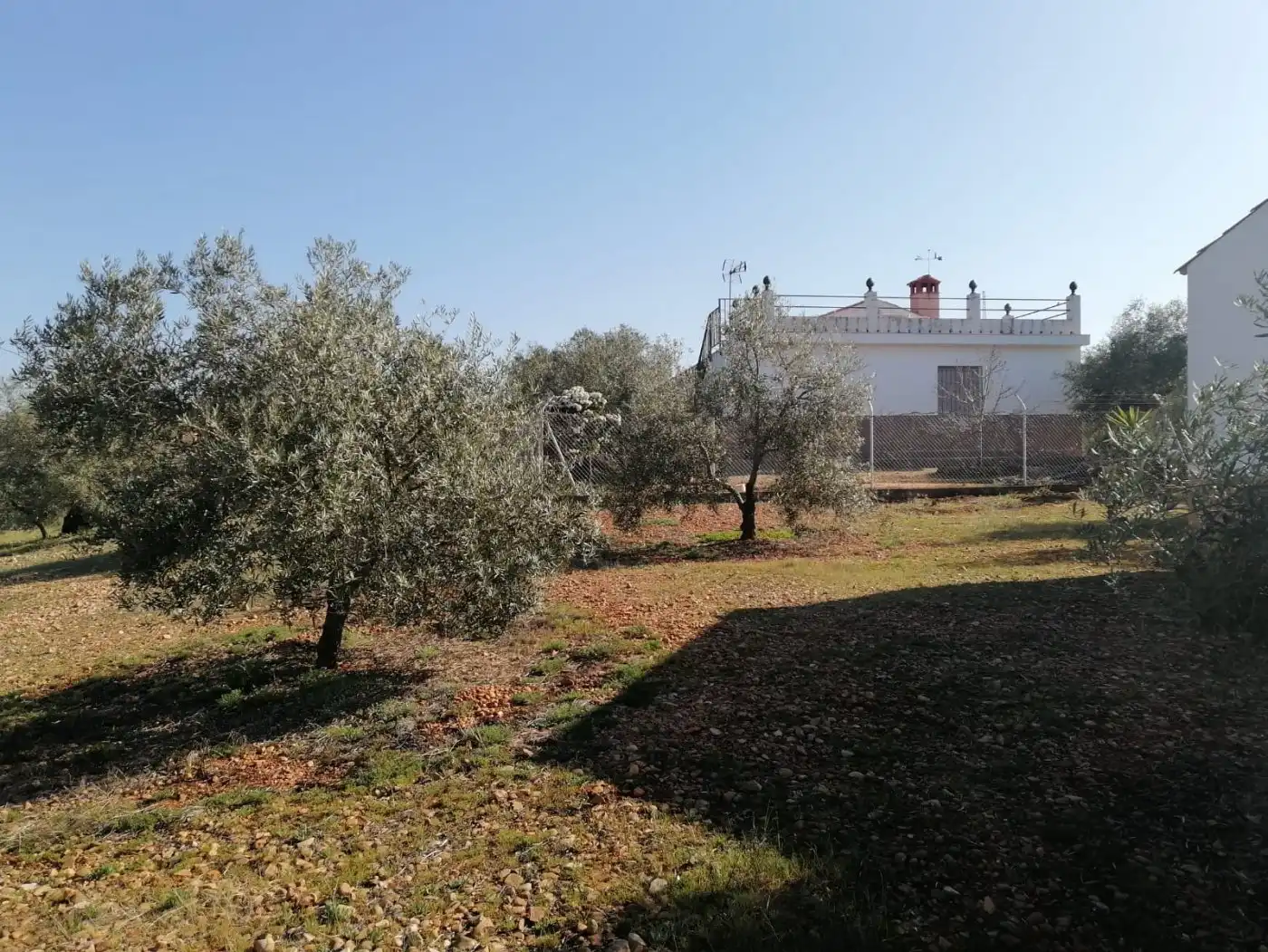 Casa amb jardí en venda a Montoro, imagen 45