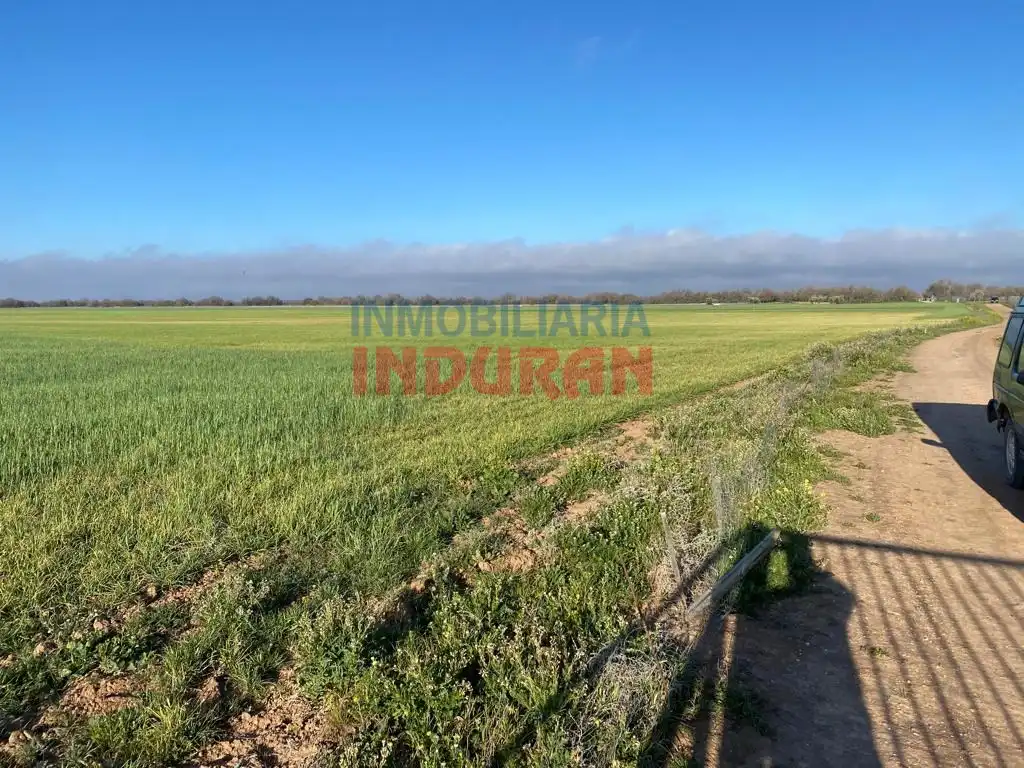 Casa rústica en venta en Avenida Castilla La Mancha, imagen 6