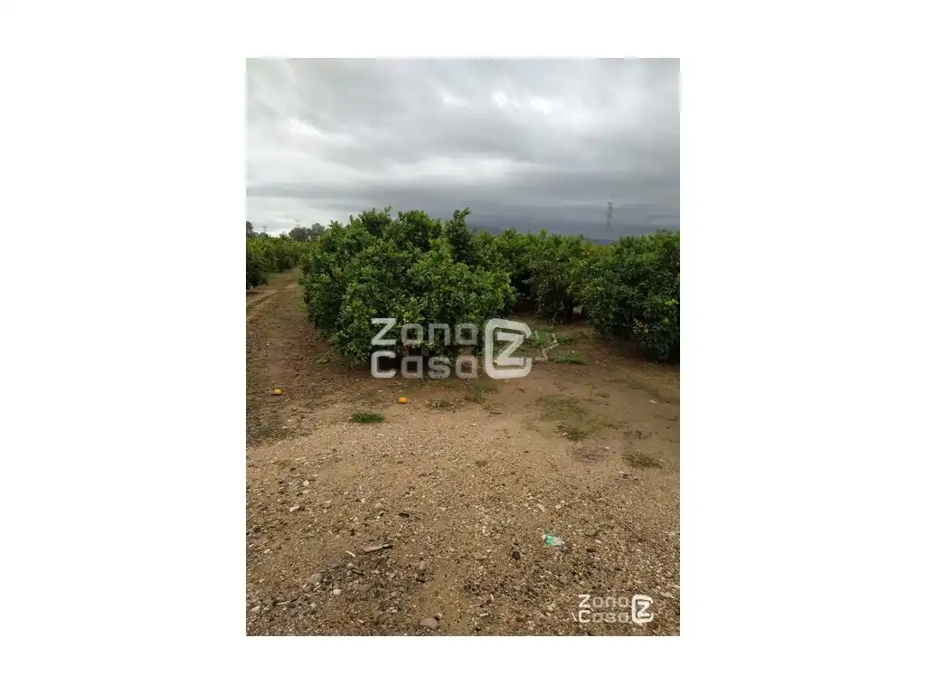Country house for sale in Algemesí