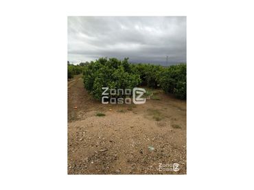Country house for sale in Algemesí