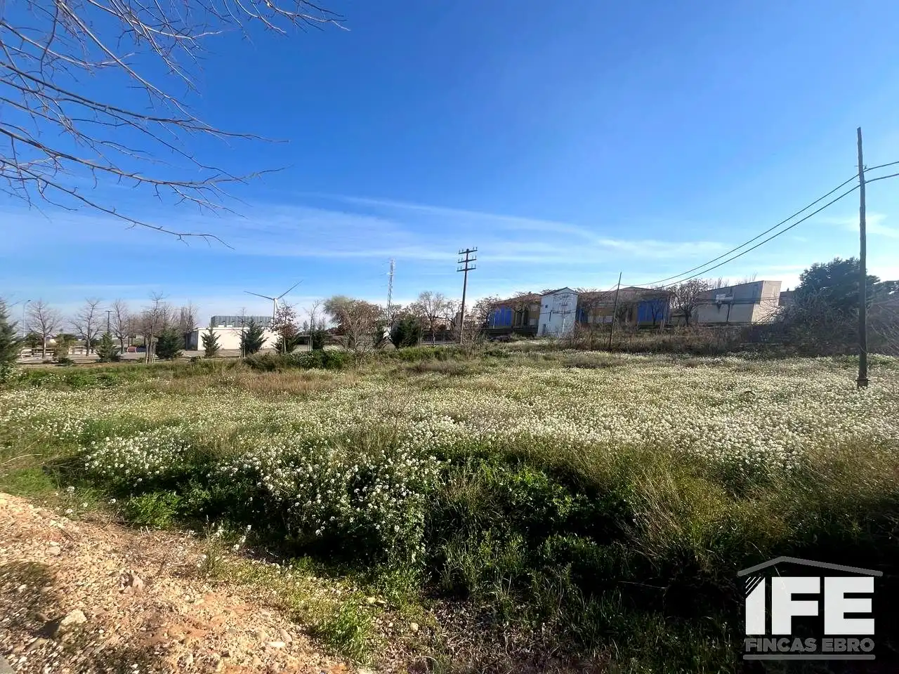 Lands and plots for sale in Figueruelas, imagen 3