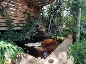 Finca rústica en venta en Granadilla de Abona, Santa Cruz de Tenerife