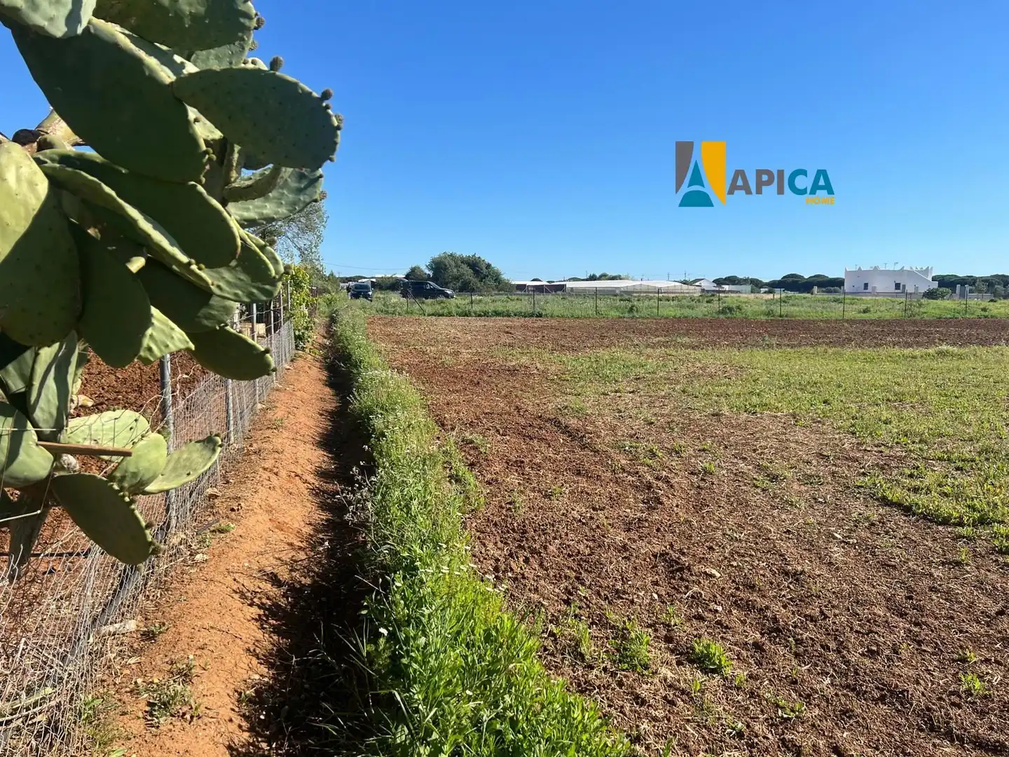 Terreno en venta en Conil de la Frontera
