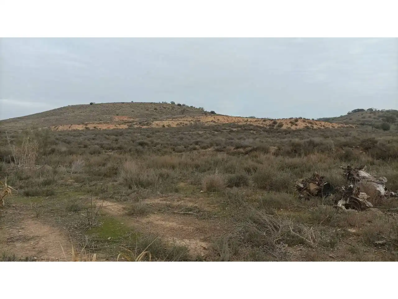 Terreni e lotti in vendita a Albalate de Cinca, imagen 9