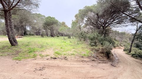Foto 5 de Terreno en venta en Passatge Riera Bell-lloc, 55, Sant Joan - Vilarromà, Palamós