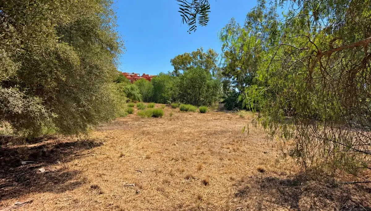 Residential for sale in Las Chapas - El Rosario