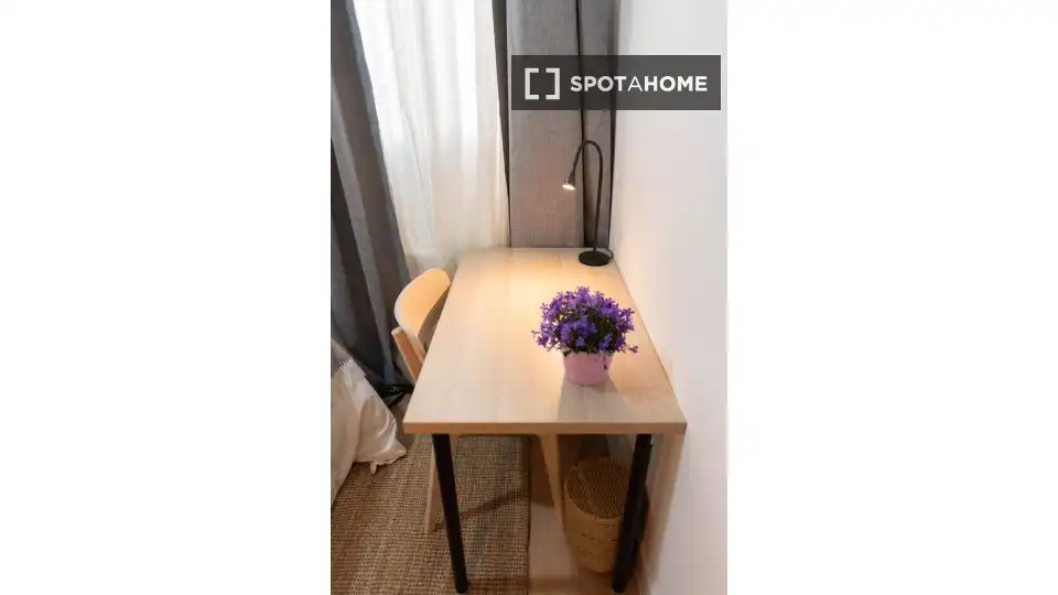 Room in Embajadores - Lavapiés