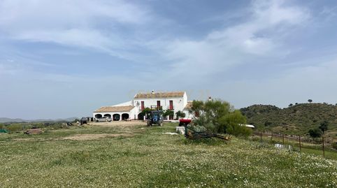 Suelo Agropecuario Ganadero Olvera  Sierra de Cadiz