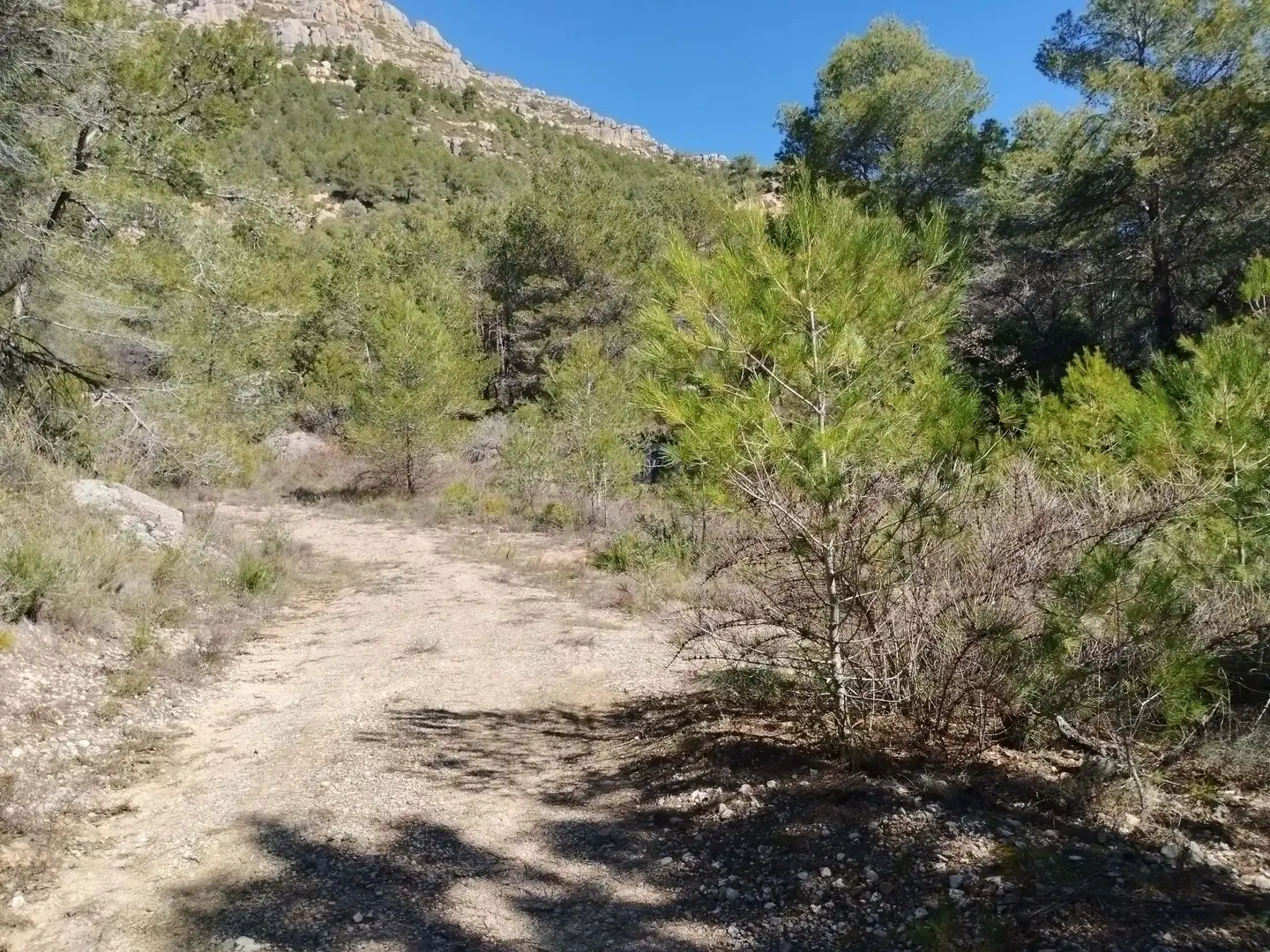Terreno en venta en La Morera de Montsant