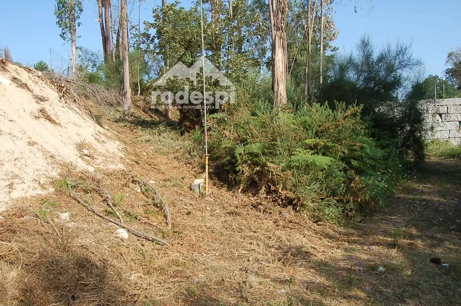 Rural land for sale in Salvaterra de Miño, imagen 11