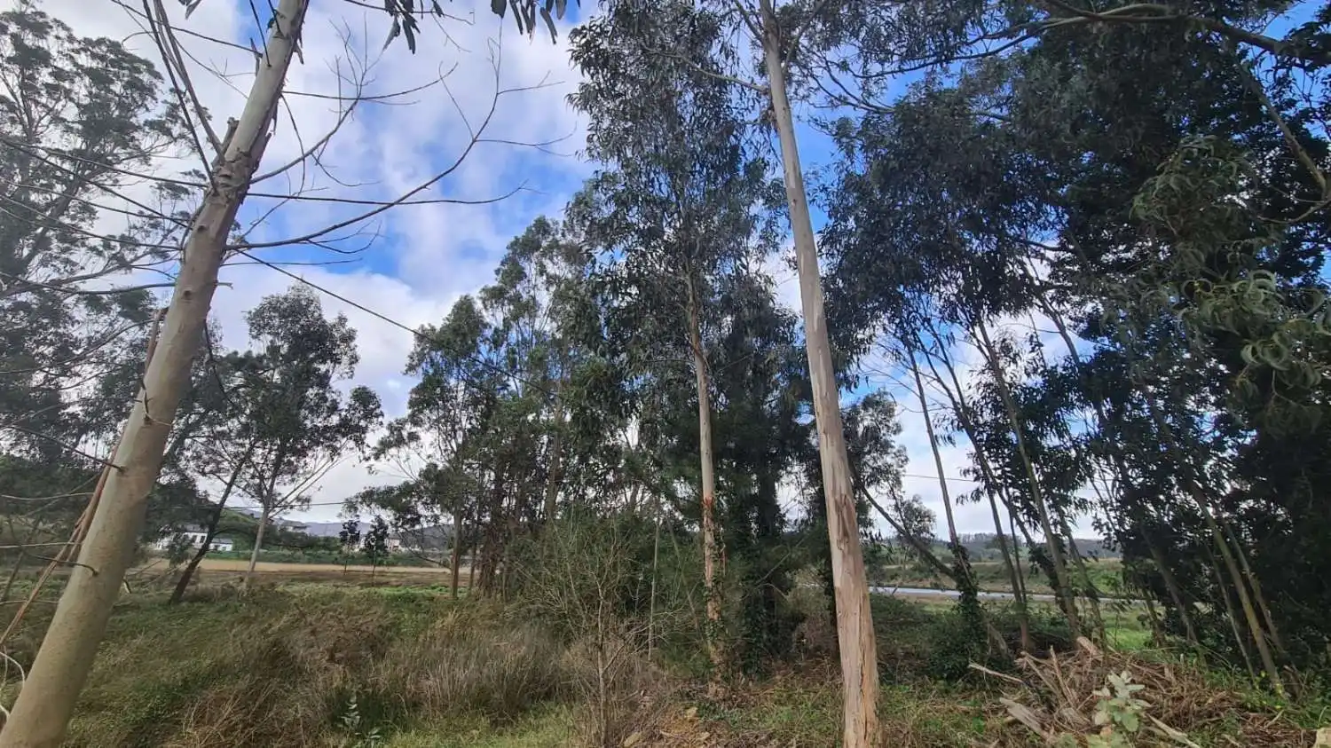 Residential land for sale in Avenida de Asturias, imagen 4
