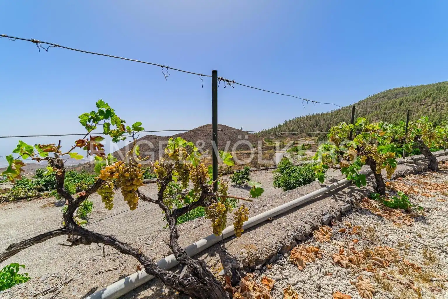 Vista exterior de Casa o xalet en venda en Granadilla de Abona amb Aire condicionat, Terrassa i Moblat