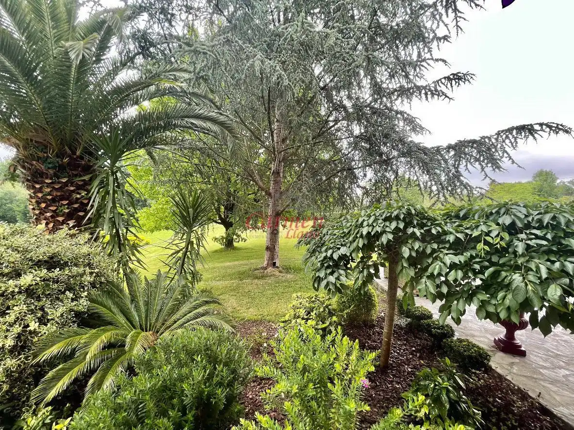 Jardín de Casa o chalet en venta en Loiu con Jardín privado, Terraza y Trastero