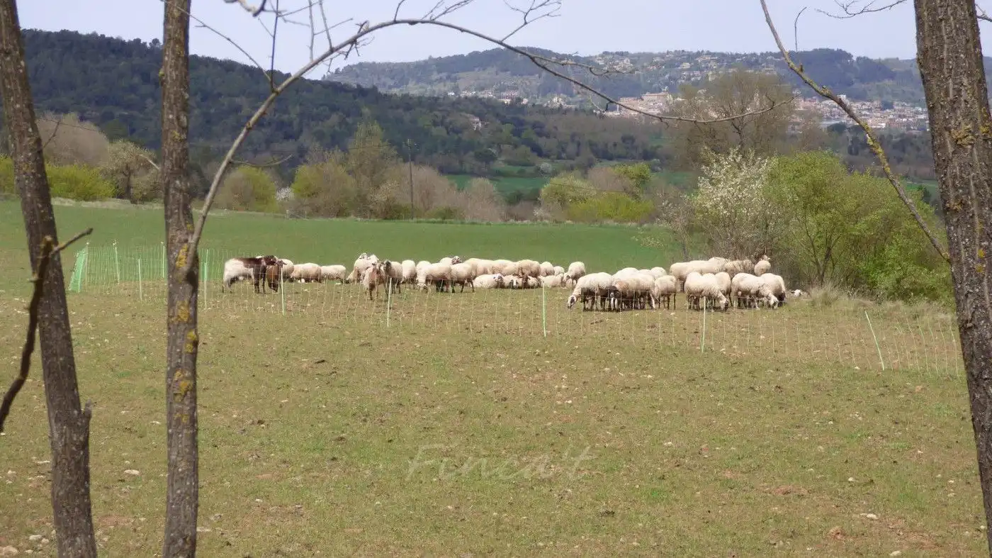 Finca rústica en venda en Castellterçol amb Traster