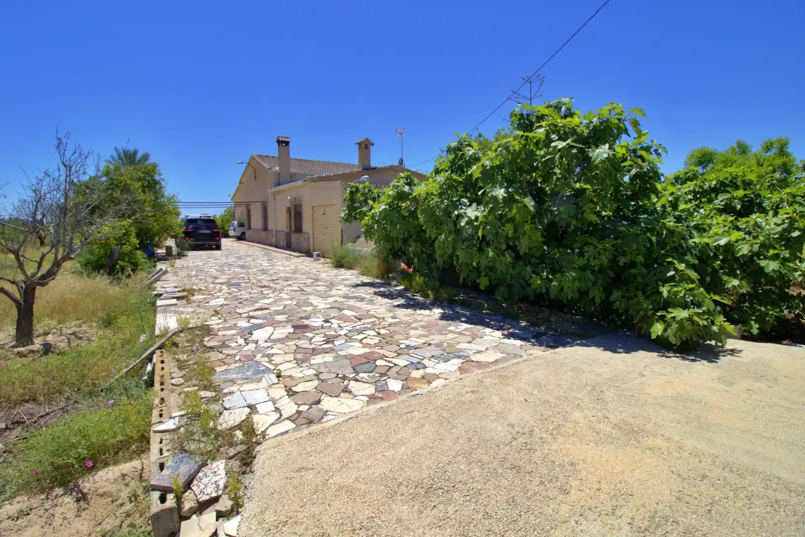 Vista exterior de Casa o chalet en venta en Elche / Elx con Jardín privado y Alarma