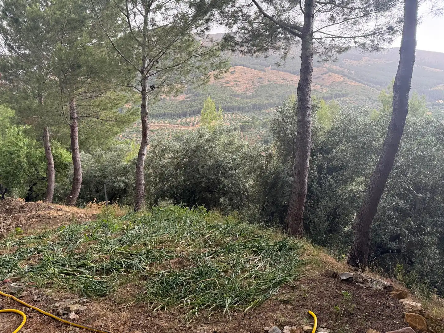 Country house zum Verkauf in Jaén mit Privatgarten, Terrasse und Schwimmbad
