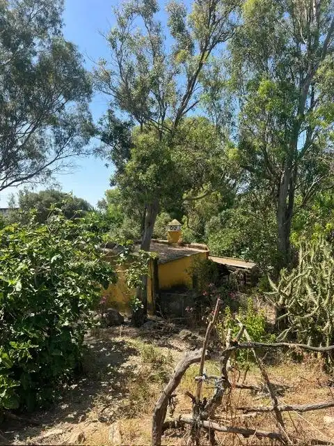 Jardí de Finca rústica en venda en Vejer de la Frontera amb Jardí privat