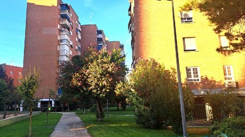 Foto 5 de Piso en venta en Parque Mayor, Alcorcón