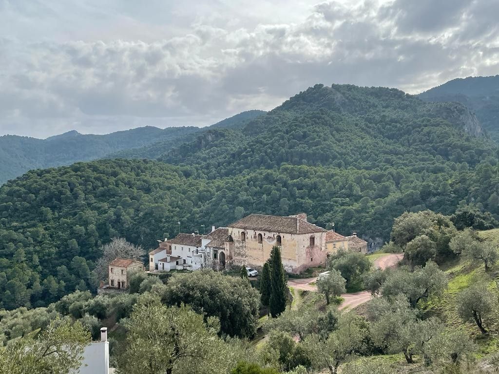 Exterior view of House or chalet for sale in El Burgo  with Private garden, Terrace and Storage room