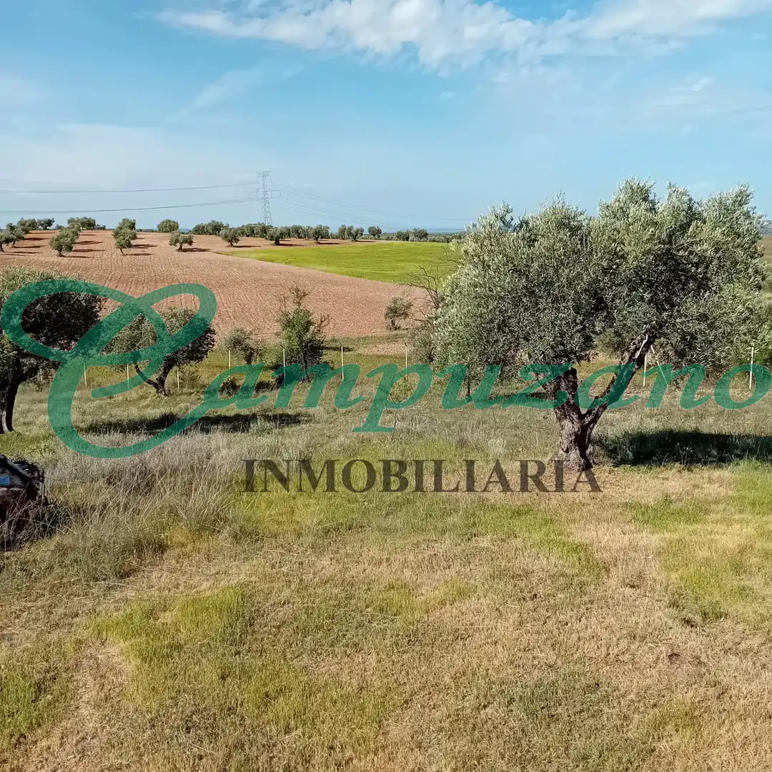 Land for sale in Chinchón