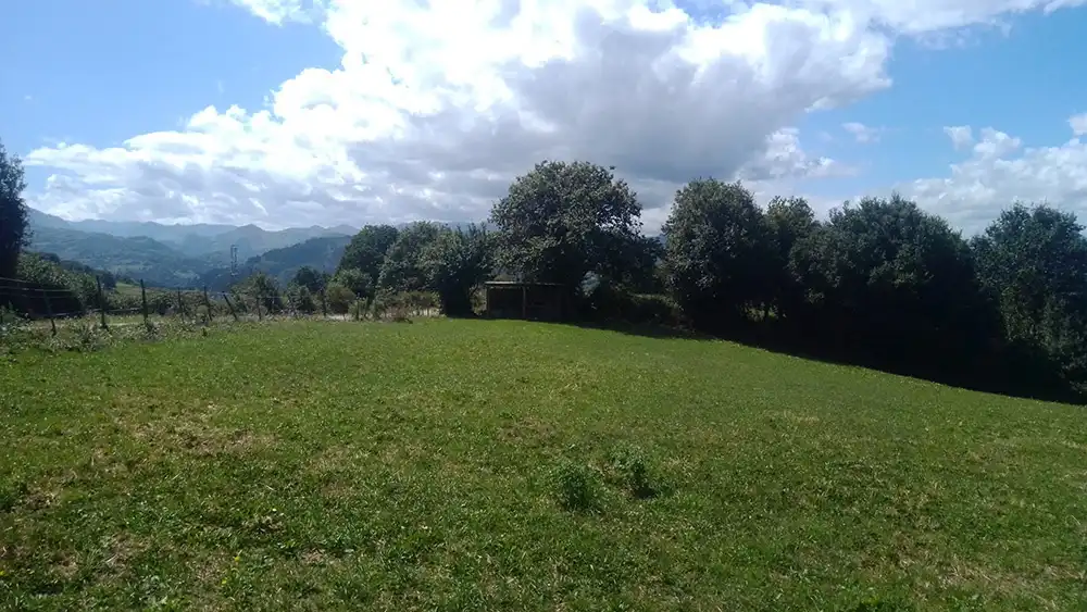 Terrenys i solars en venda a Polígono 41. Parcela 320 1, imagen 11