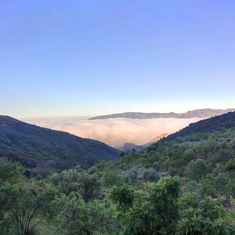 Vista exterior de Finca rústica en venda en Lecrín amb Aire condicionat i Calefacció