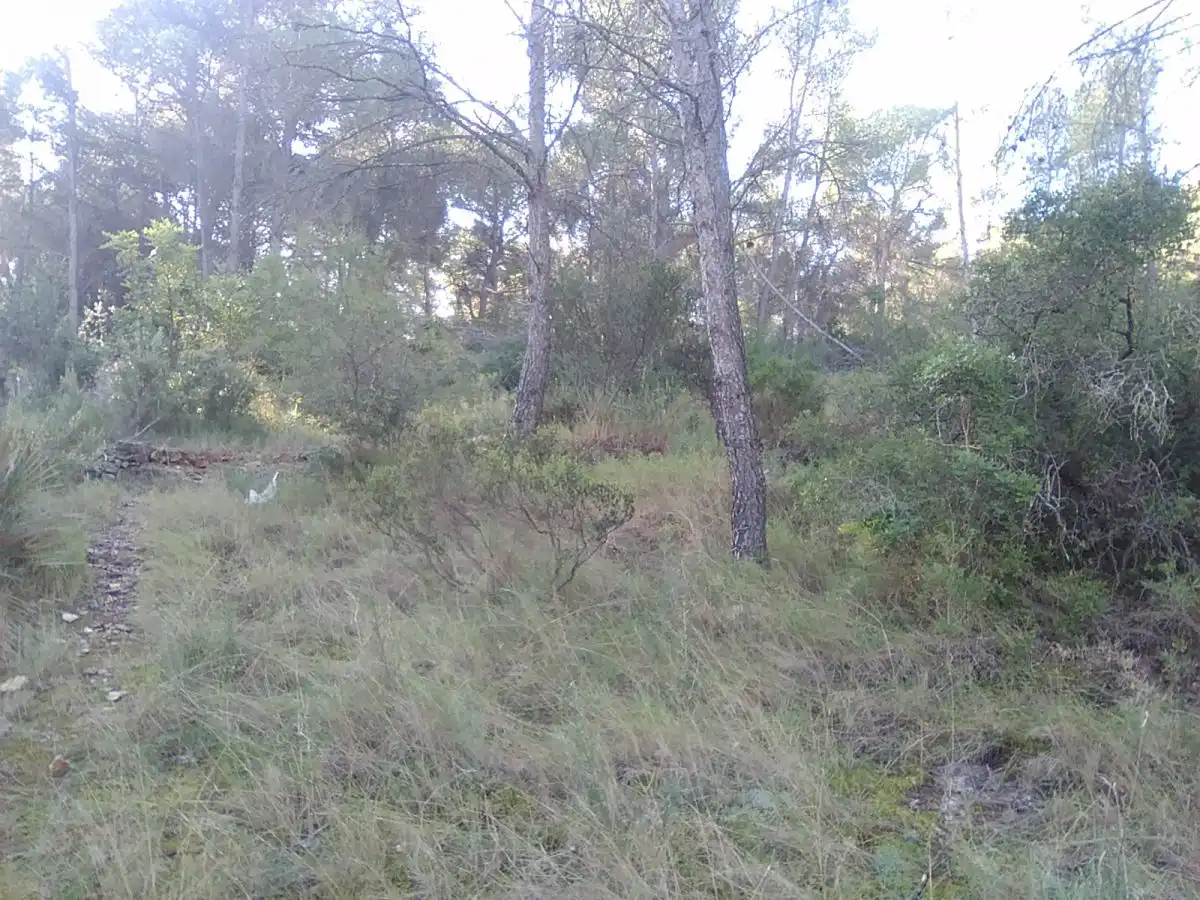 Terrenys i solars en venda a Estivella, imagen 5
