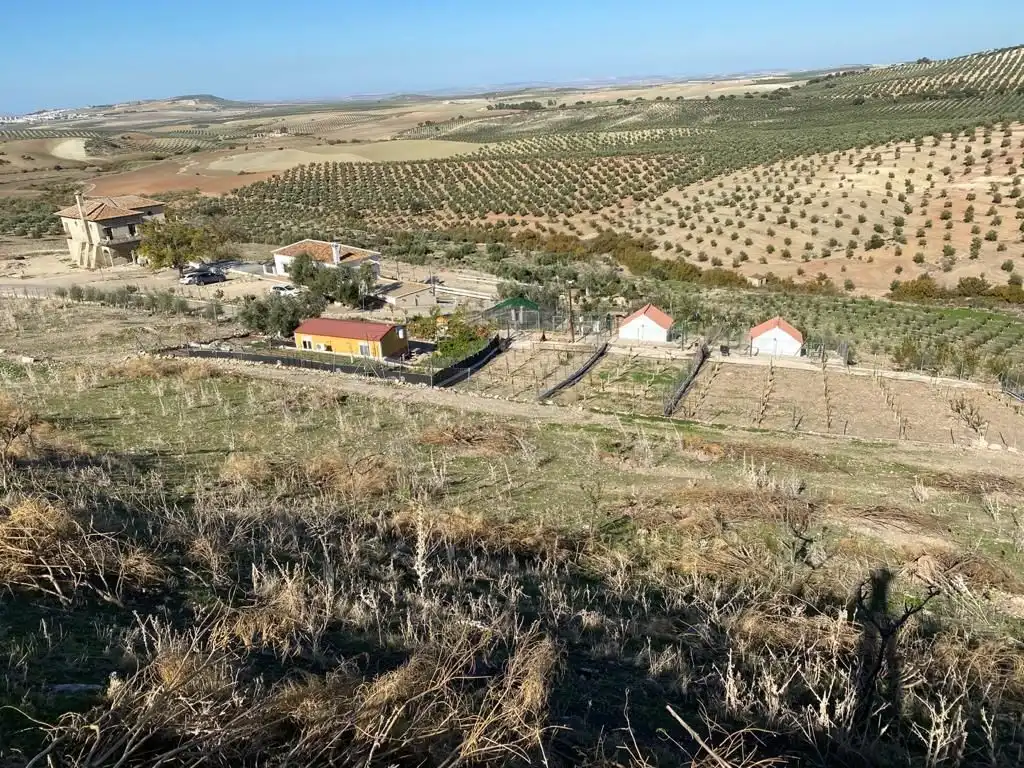 Terreni e lotti in vendita a Osuna, imagen 19