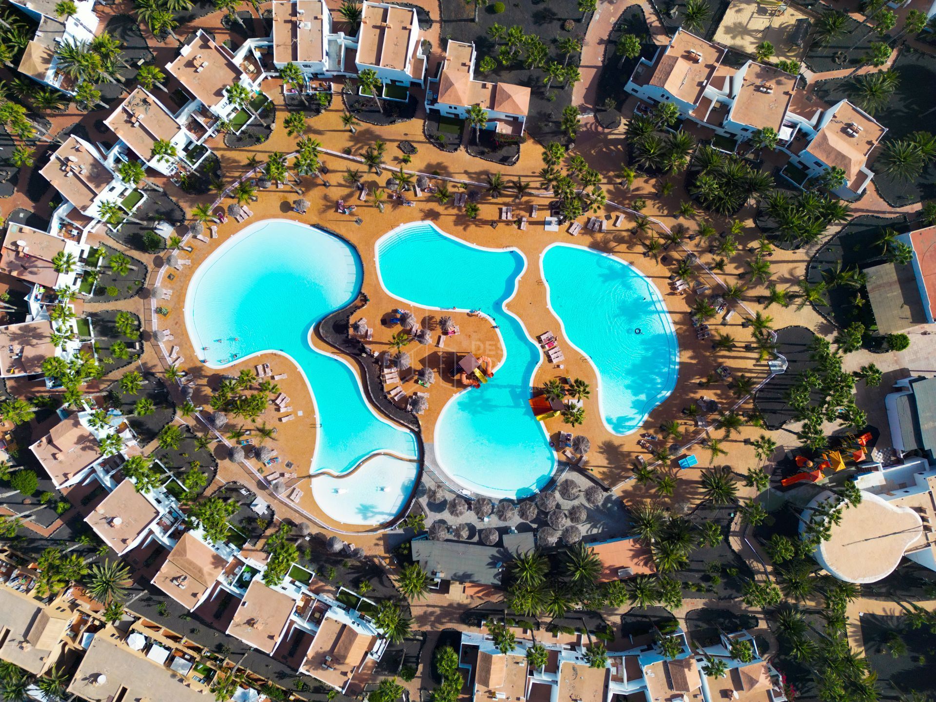 Swimming pool of Apartment for sale in La Oliva  with Private garden and Community pool