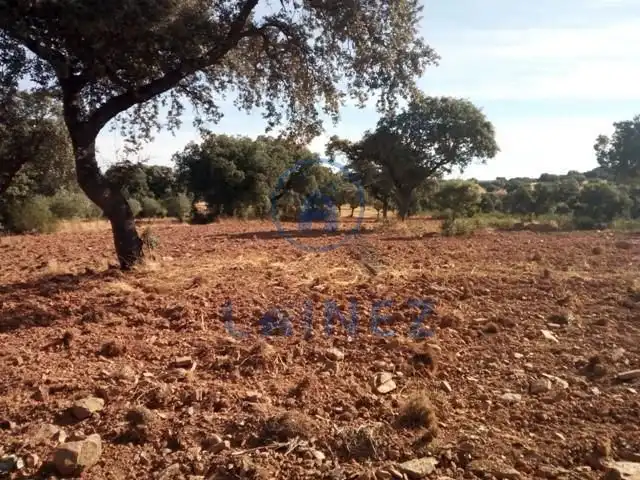 Terreny residencial en venda a Villanueva del Duque, imagen 13