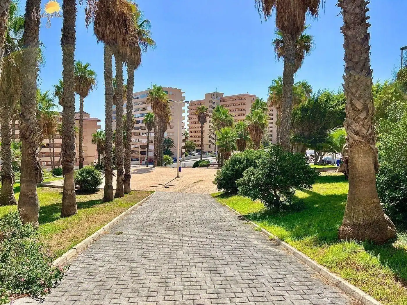 Vista exterior de Apartament en venda en Playa de los Locos