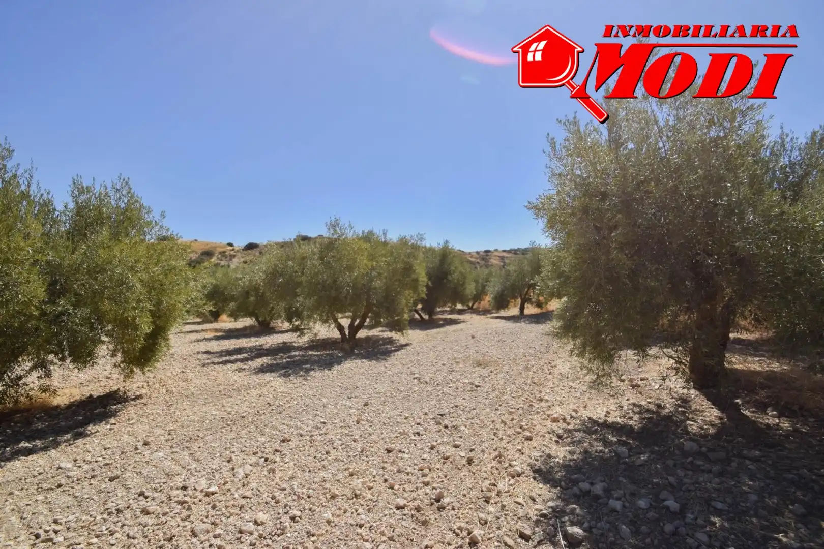 Finca rústica en venda en Cacín amb Jardí privat