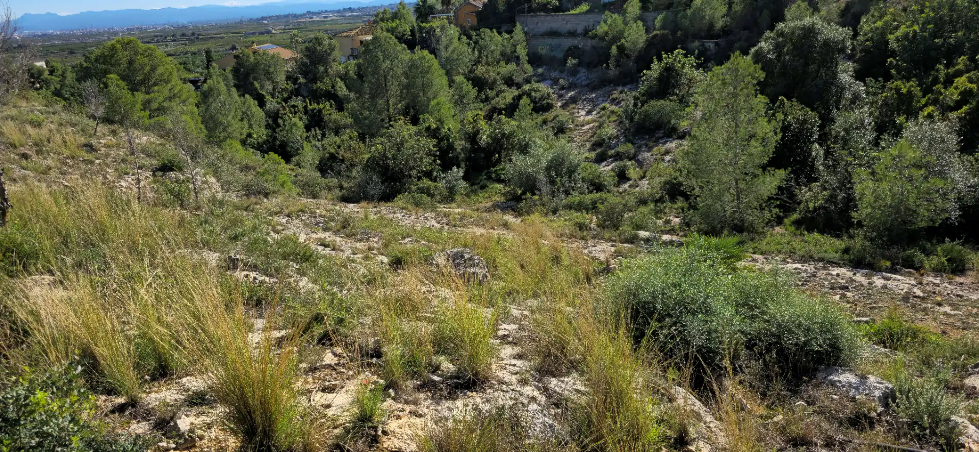 Wohnbaugrundstück zum Verkauf in Calle C/2 Lloma Molina 31, imagen 52