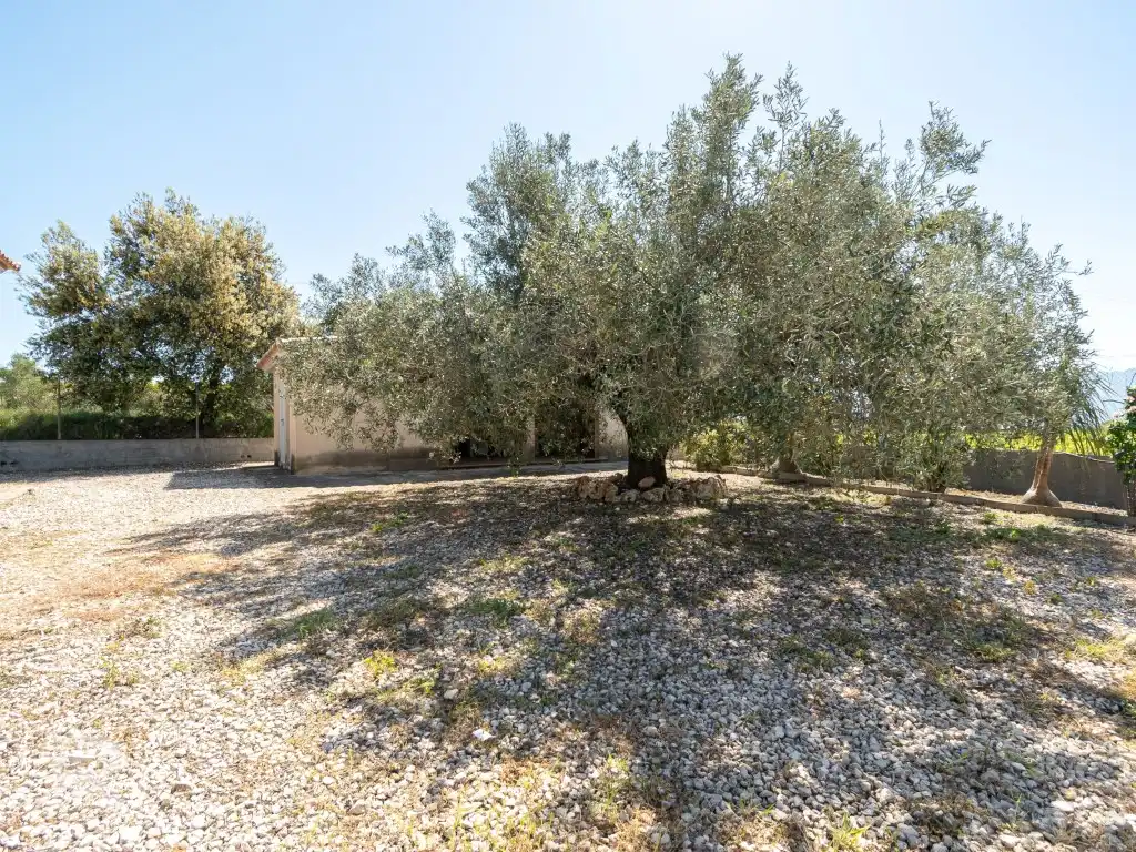 Detached house for sale in Diseminados Diseminados, imagen 6