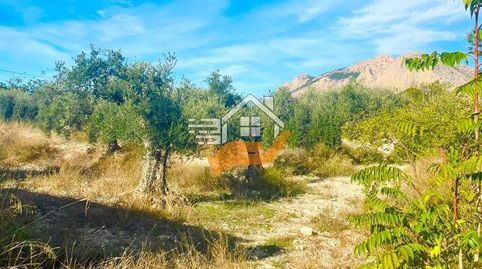 Finca Rúst. en venta en VélezRubio.
