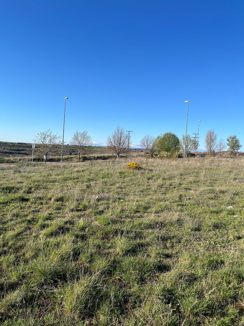 Terreny industrial en venda en Sigüenza