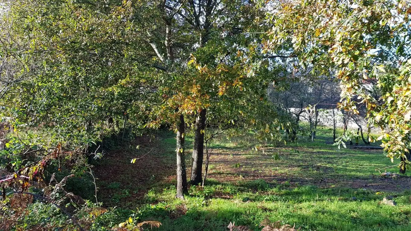 Residential land for sale in Vilagarcía, imagen 2