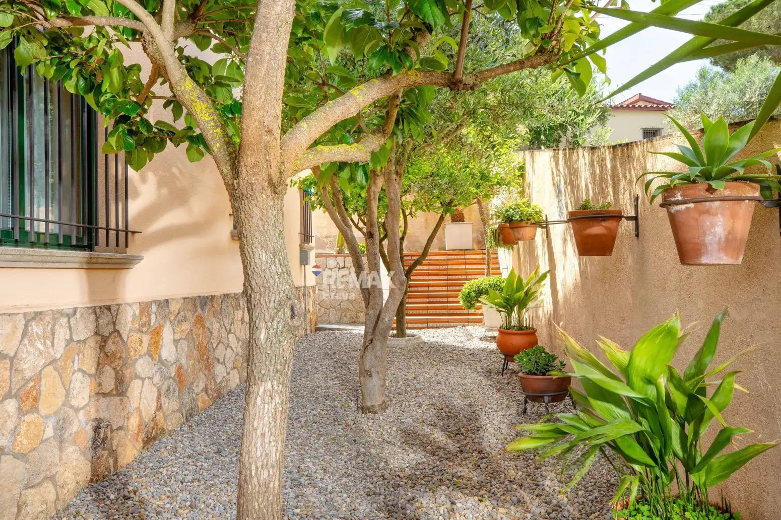 Ground floor with terrace for sale in Calle CL REMEI, imagen 16
