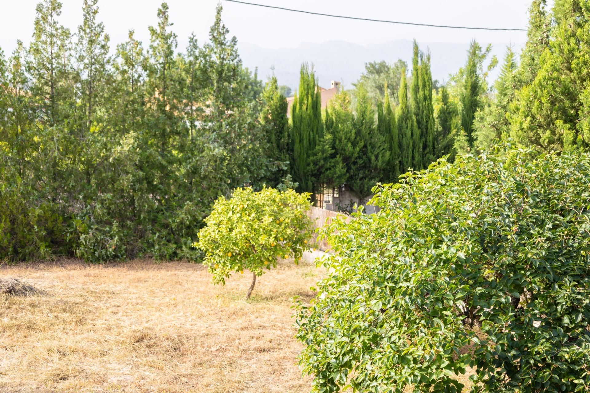 Casa o xalet en venda en Bétera amb Jardí privat, Terrassa i Alarma